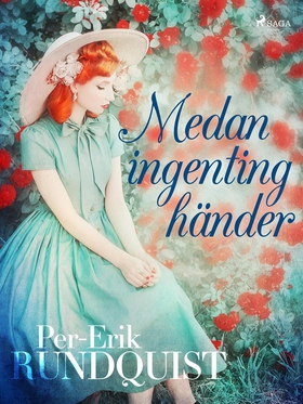 Medan ingenting händer (e-bok) av Per-Erik Rund