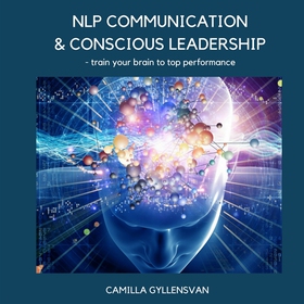 NLP Communication & conscious leadership, train