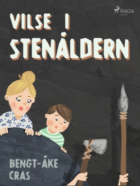 Vilse i stenåldern (e-bok) av Bengt-Åke Cras