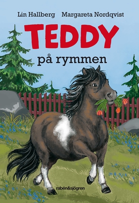Teddy på rymmen (ljudbok) av Lin Hallberg