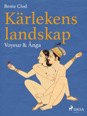 Kärlekens landskap 7: Voyeur & Ånga (e-bok) av 