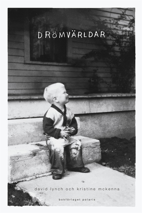 Drömvärldar (e-bok) av David Lynch