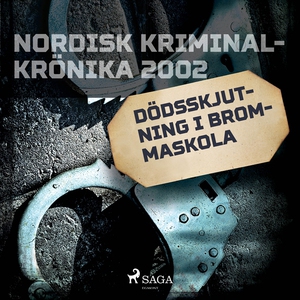 Dödsskjutning i Brommaskola (ljudbok) av Divers