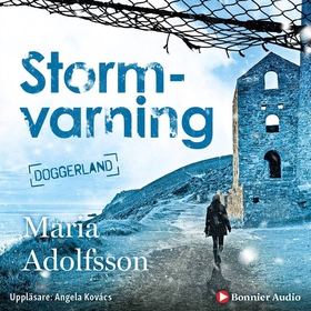 Stormvarning (ljudbok) av Maria Adolfsson