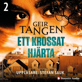 Ett krossat hjärta (ljudbok) av Geir Tangen