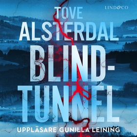 Blindtunnel (ljudbok) av Tove Alsterdal