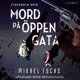 Mord på öppen gata (ljudbok) av Mikael Fuchs