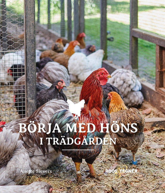 Börja med höns i trädgården