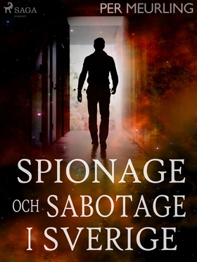 Spionage och sabotage i Sverige (e-bok) av Per 