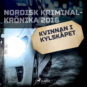 Kvinnan i kylskåpet (ljudbok) av Diverse