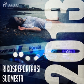 Rikosreportaasi Suomesta 2013 (ljudbok) av Eri 