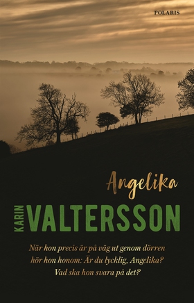 Angelika (e-bok) av Karin Valtersson