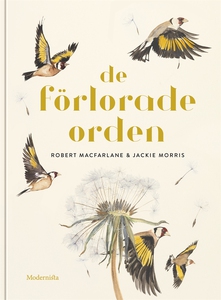 De förlorade orden (e-bok) av Robert Macfarlane