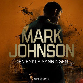 Den enkla sanningen (ljudbok) av Mark Johnson