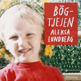 Bögtjejen (ljudbok) av Aleksa Lundberg