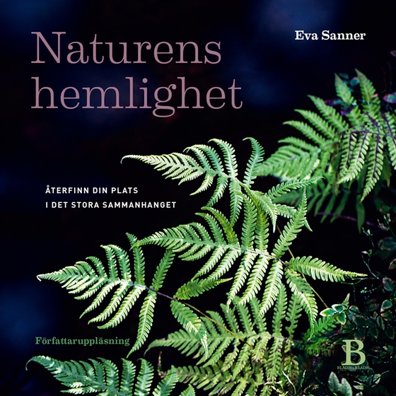 Naturens hemlighet – återfinn din plats i det stora sammanhanget