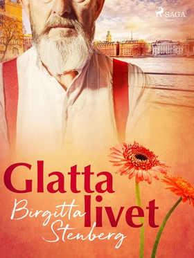 Glatta livet (e-bok) av Birgitta Stenberg