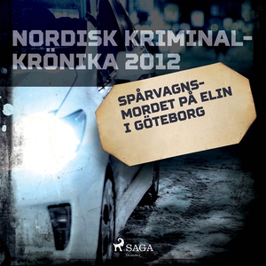 Spårvagnsmordet på Elin i Göteborg (ljudbok) av