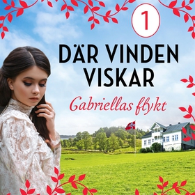 Gabriellas flykt: en släkthistoria (ljudbok) av