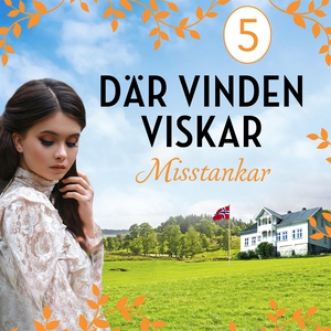 Misstankar: En släkthistoria (ljudbok) av Toril
