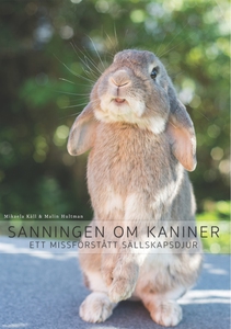Sanningen om kaniner: Ett missförstått sällskap