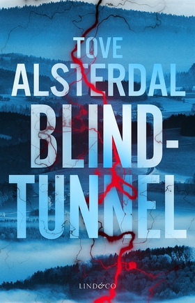 Blindtunnel (e-bok) av Tove Alsterdal