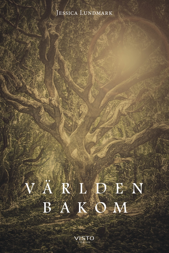 Världen bakom (e-bok) av Jessica Lundmark