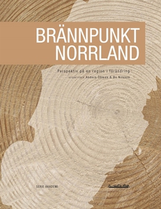 Brännpunkt Norrland : Perspektiv på en region i