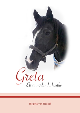 Greta: Ett annorlunda hästliv (e-bok) av Birgit