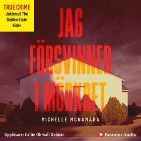 Jag försvinner i mörkret (ljudbok) av Michelle