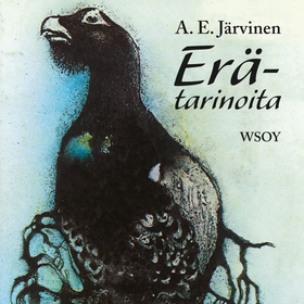 Erätarinoita (ljudbok) av A. E. Järvinen