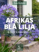 Afrikas blå lilja och klockagapanthus
