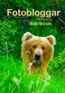 Fotobloggar 2011-2013 (e-bok) av