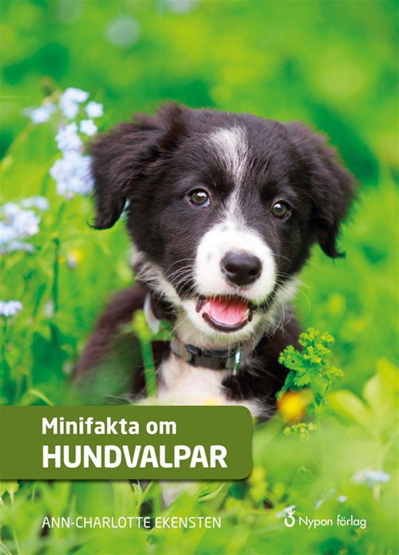 Minifakta om hundvalpar (e-bok) av Ann-Charlotte Ekensten