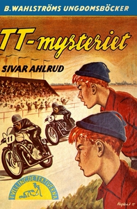 Tvillingdetektiverna 13 - TT-mysteriet (e-bok)