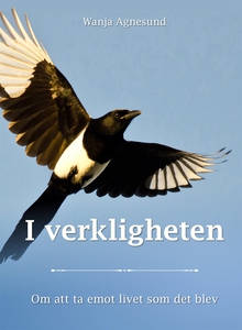 I verkligheten - Om att ta emot livet som det b