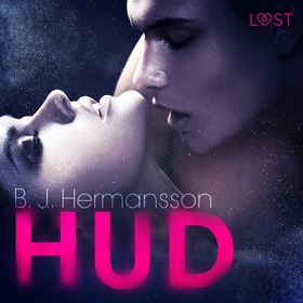 Hud (ljudbok) av B. J. Hermansson