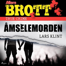 Åmselemorden (ljudbok) av Lars Klint