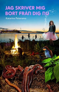 Jag skriver mig bort från dig nu (e-bok) av Kat