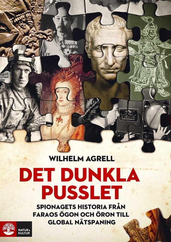 Det dunkla pusslet : spionagets historia - från faraos ögon och öron till global nätspaning