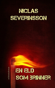 En eld som brinner (e-bok) av Niclas Severinsso