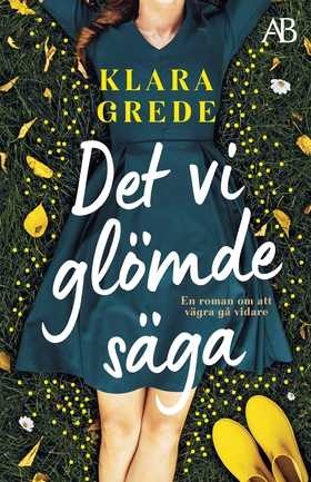 Det vi glömde säga (e-bok) av Klara Grede