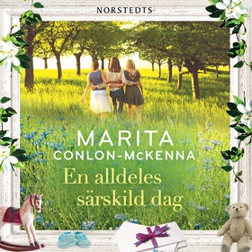 En alldeles särskild dag (ljudbok) av Marita Co