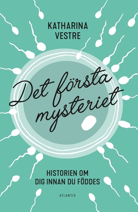 Det första mysteriet : Historien om dig innan d