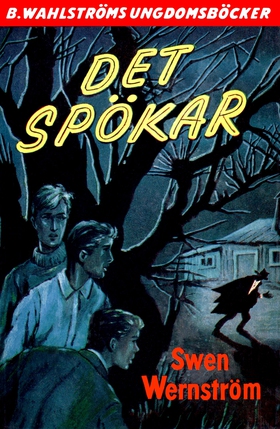 Olle Bark 2 - Det spökar (e-bok) av Sven Wernst