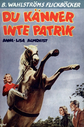 Du känner inte Patrik (e-bok) av Anna-Lisa Almq