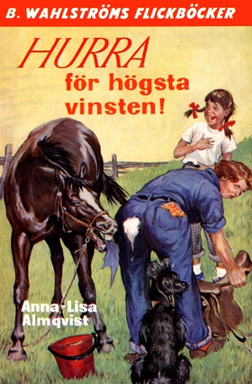 Hurra för högsta vinsten! (e-bok) av Anna-Lisa 