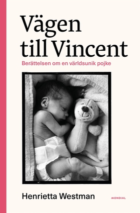 Vägen till Vincent : berättelsen om en världsun