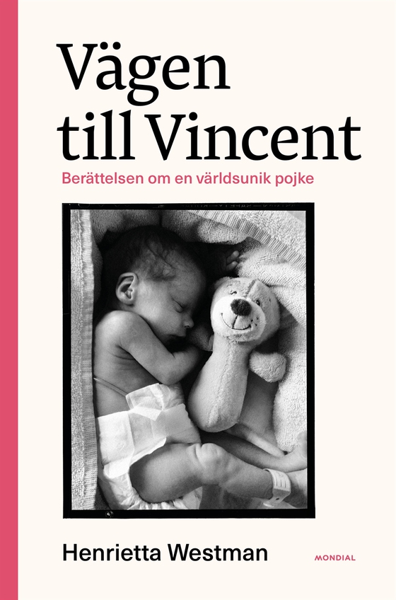 Vägen till Vincent : berättelsen om en världsunik pojke