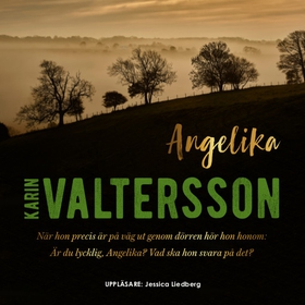Angelika (ljudbok) av Karin Valtersson